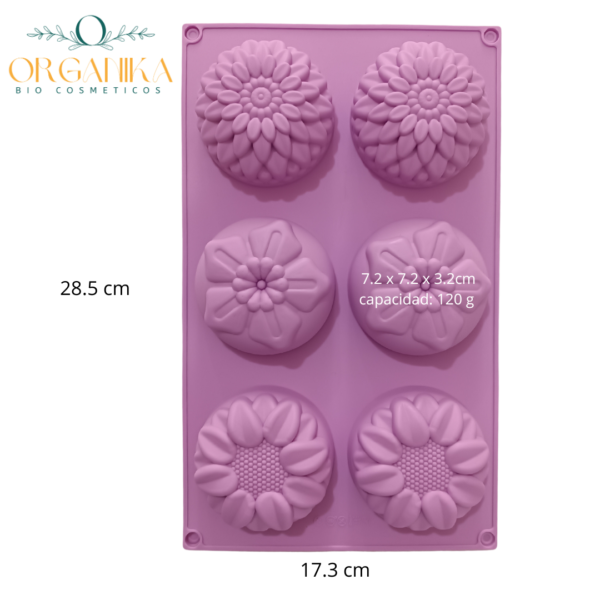 10 MOLDE DE SILICONA TIPO FLORES