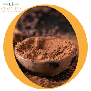 CACAO EN POLVO