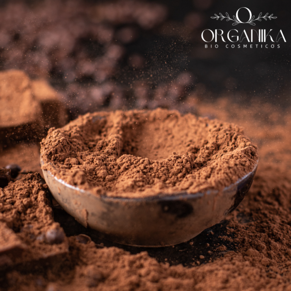 13 CACAO EN POLVO