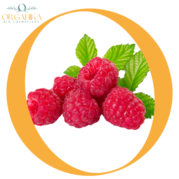14 FRAGANCIA FRAMBUESA