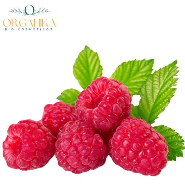 15 FRAGANCIA FRAMBUESA