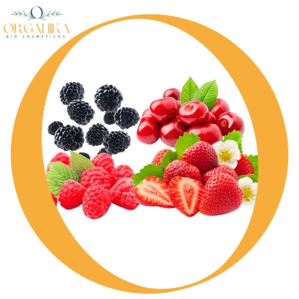 17 FRAGANCIA FRUTOS ROJOS