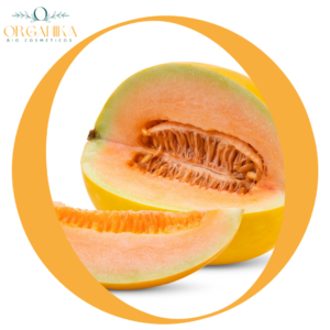 FRAGANCIA MELON