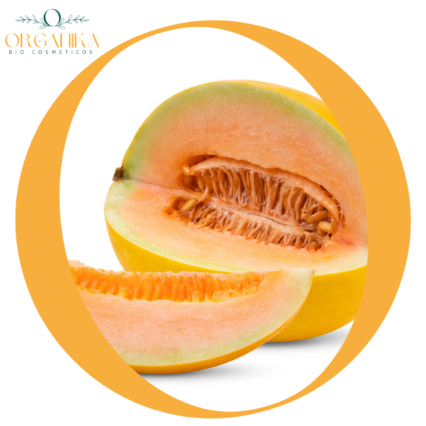 17 FRAGANCIA MELON