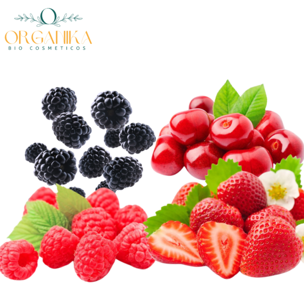 18 FRAGANCIA FRUTOS ROJOS