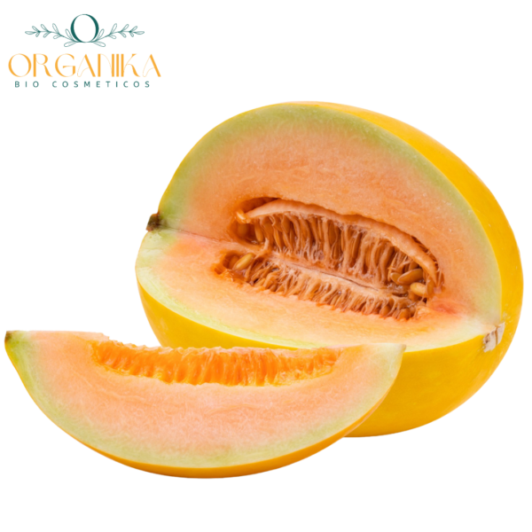 18 FRAGANCIA MELON