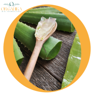 FRAGANCIA ALOE VERA