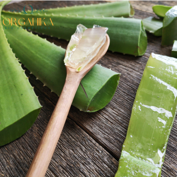 21 FRAGANCIA ALOE VERA