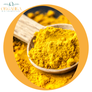 CURCUMA EN POLVO