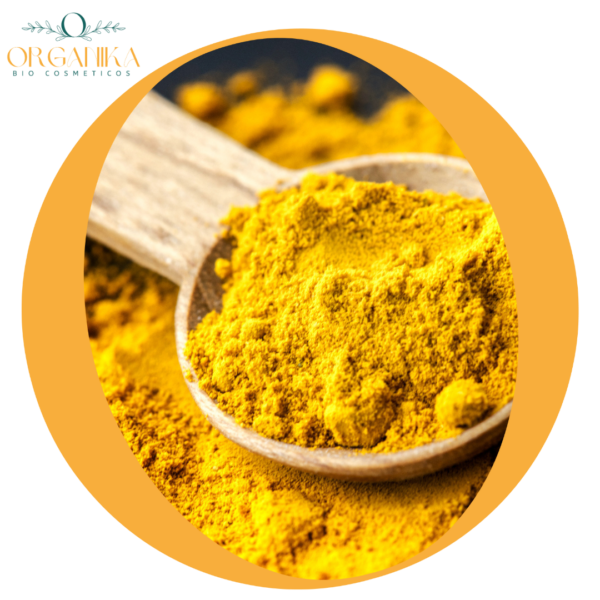 21 CURCUMA EN POLVO