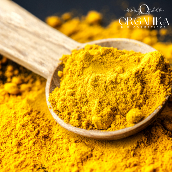 22 CURCUMA EN POLVO