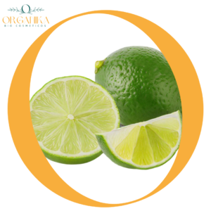 LIMON EN POLVO