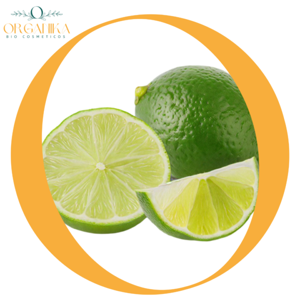 24 LIMON EN POLVO