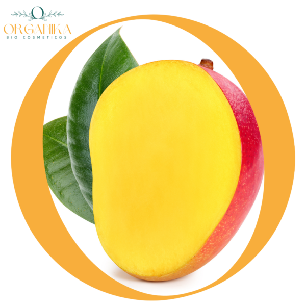 26 FRAGANCIA MANGO KING