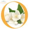 ACEITE ESENCIAL DE JAZMIN