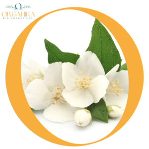 ACEITE ESENCIAL DE JAZMIN