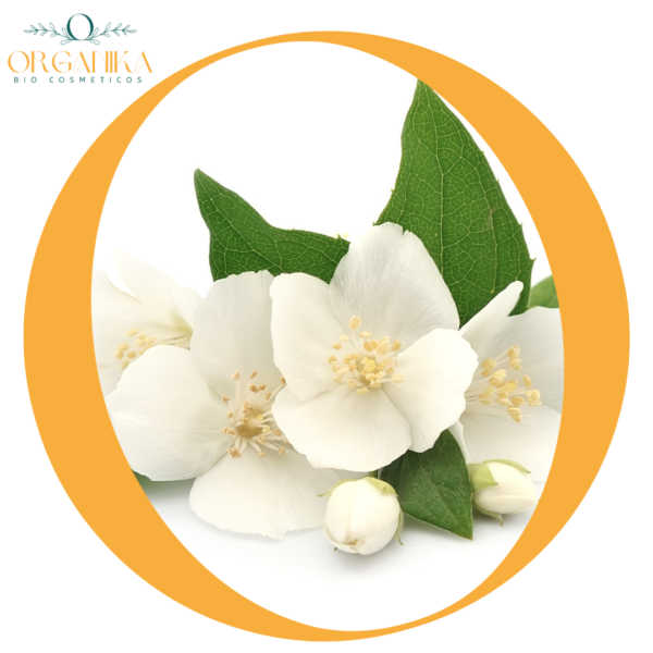 ACEITE ESENCIAL DE JAZMIN