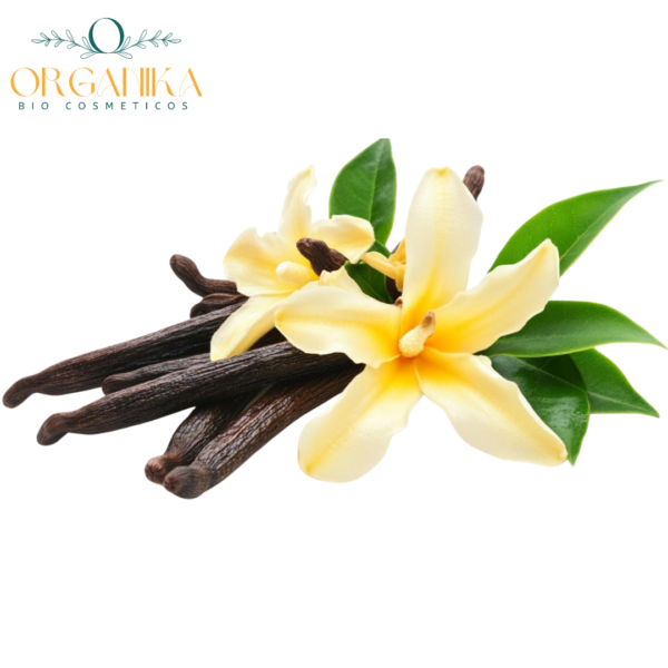FRAGANCIA VAINILLA