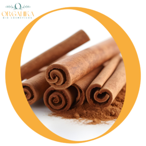 FRAGANCIA CANELA