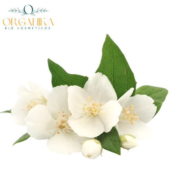 ACEITE ESENCIAL DE JAZMIN