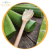 ALOE VERA EN POLVO