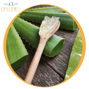 ALOE VERA EN POLVO