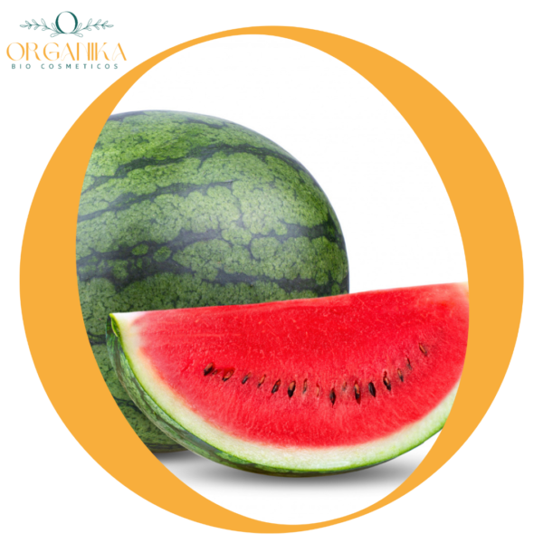 8 FRAGANCIA SANDIA